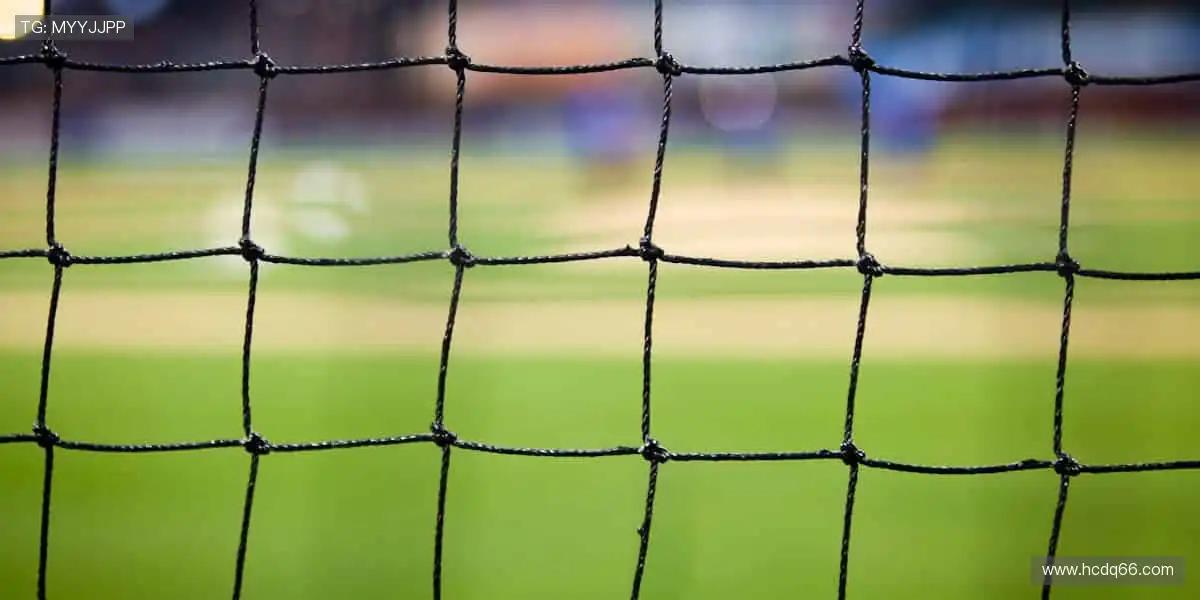 ⚡释放你的冠军潜能,装备你的热爱!💪